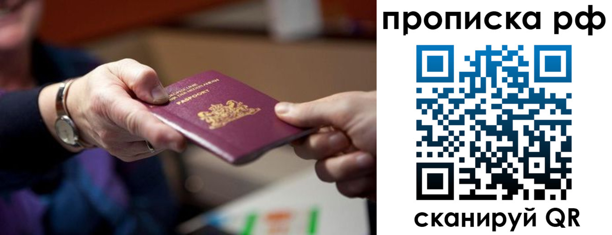 прописка гарантия в Волгограде